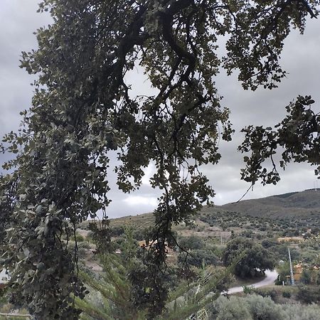 Casa La Colina Mandarina II Casa De Madera Villa Tahal ภายนอก รูปภาพ