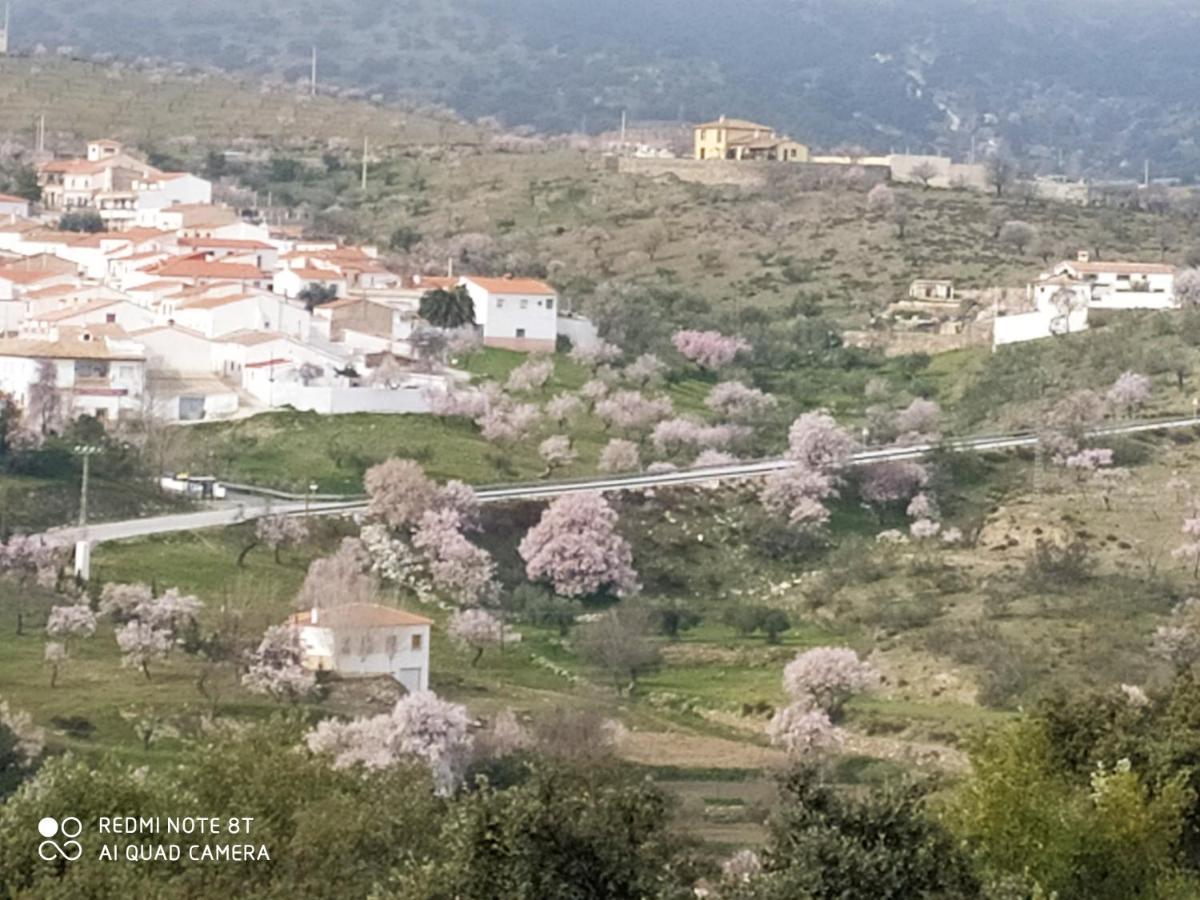 Casa La Colina Mandarina II Casa De Madera Villa Tahal ภายนอก รูปภาพ