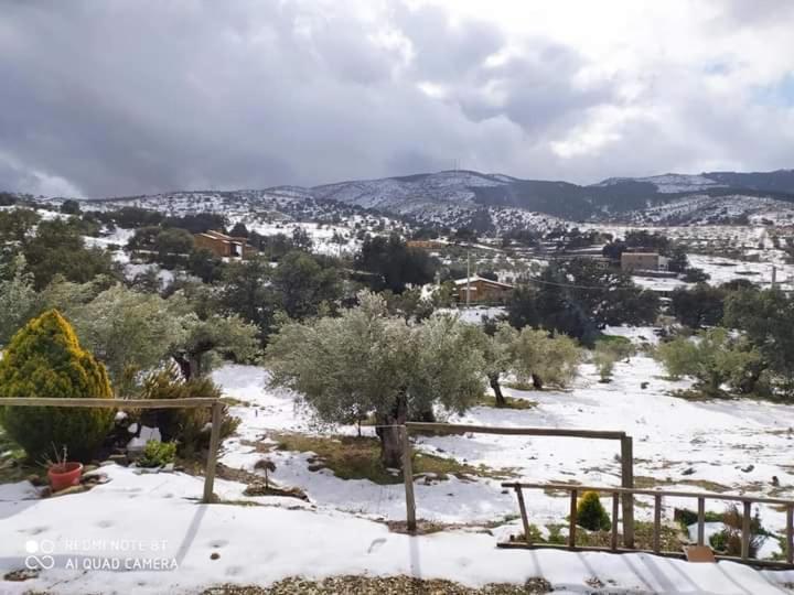 Casa La Colina Mandarina II Casa De Madera Villa Tahal ภายนอก รูปภาพ