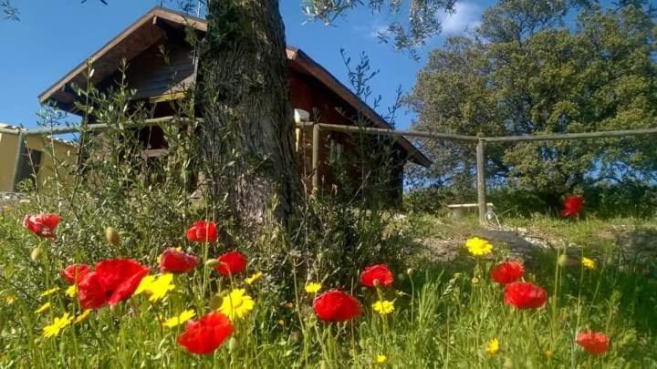 Casa La Colina Mandarina II Casa De Madera Villa Tahal ภายนอก รูปภาพ