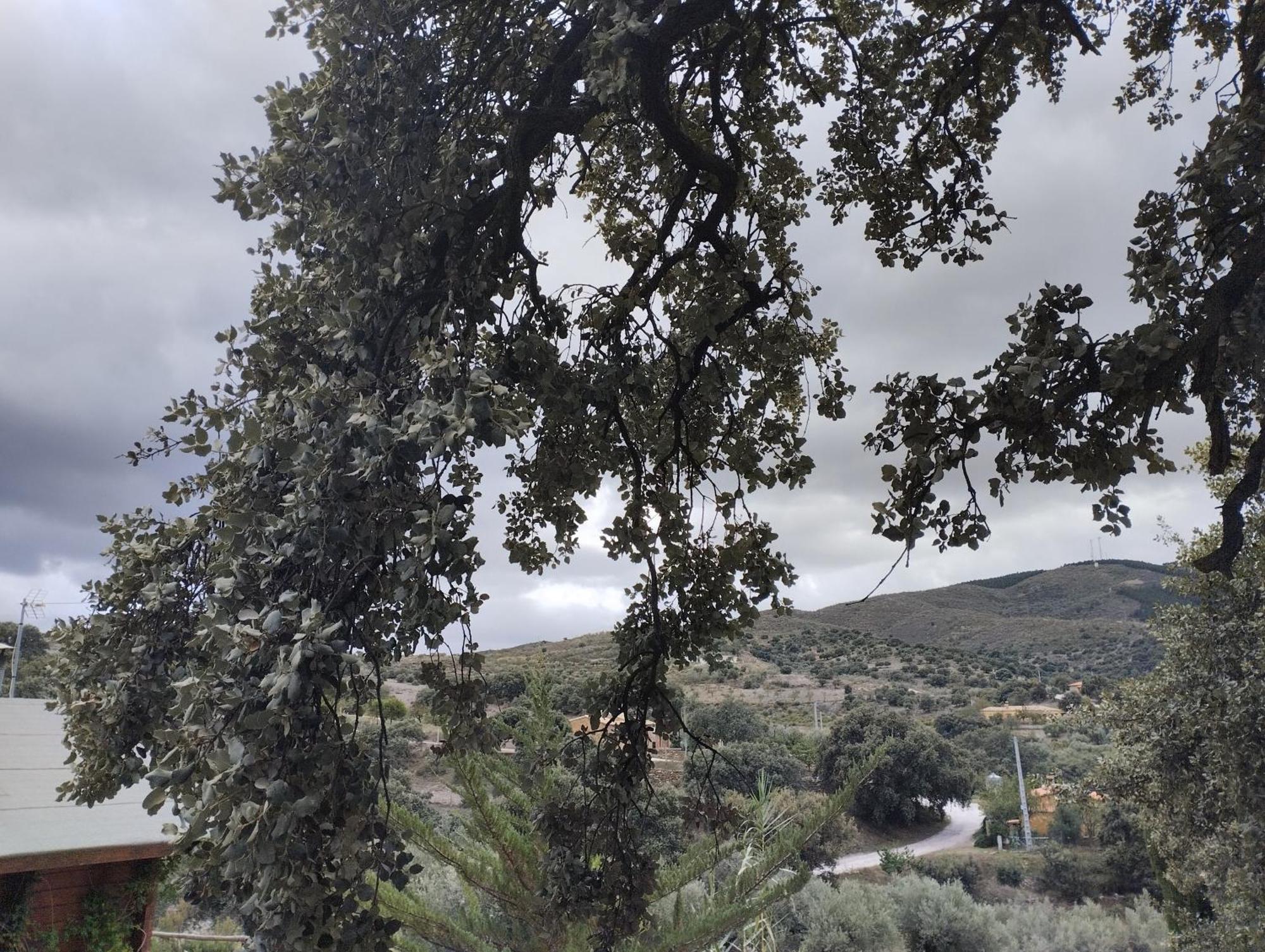 Casa La Colina Mandarina II Casa De Madera Villa Tahal ภายนอก รูปภาพ