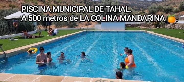 Casa La Colina Mandarina II Casa De Madera Villa Tahal ภายนอก รูปภาพ