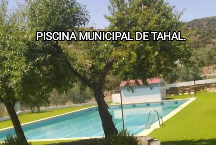 Casa La Colina Mandarina II Casa De Madera Villa Tahal ภายนอก รูปภาพ
